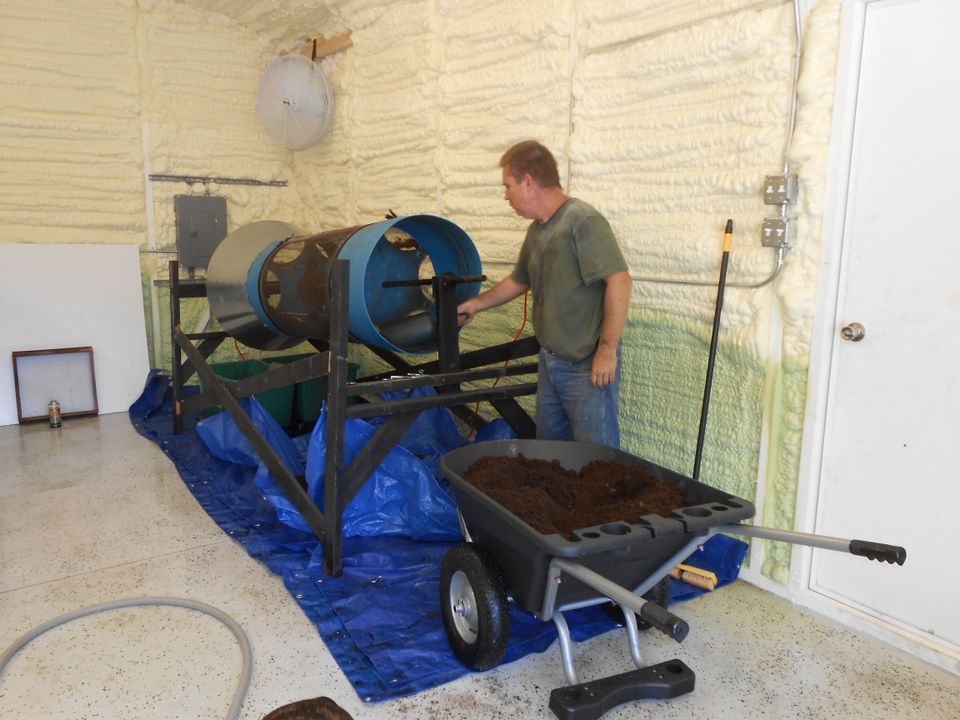 Sifting  poinsettia