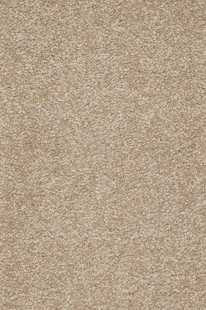 Sandy hollow i 12'   sahara  4.99