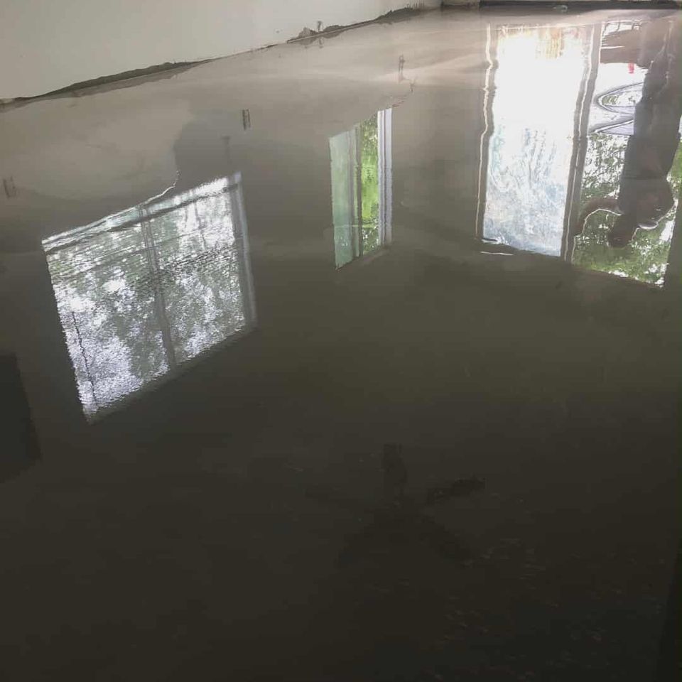 Smooth polished concrete floor reflecting windows and natural light.