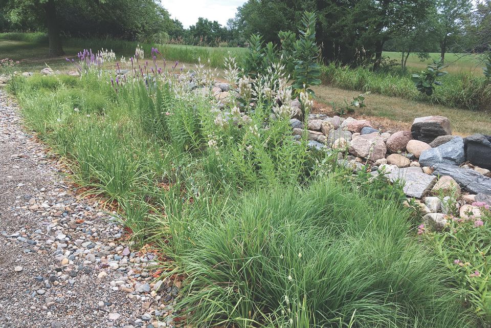 Culver'sroot