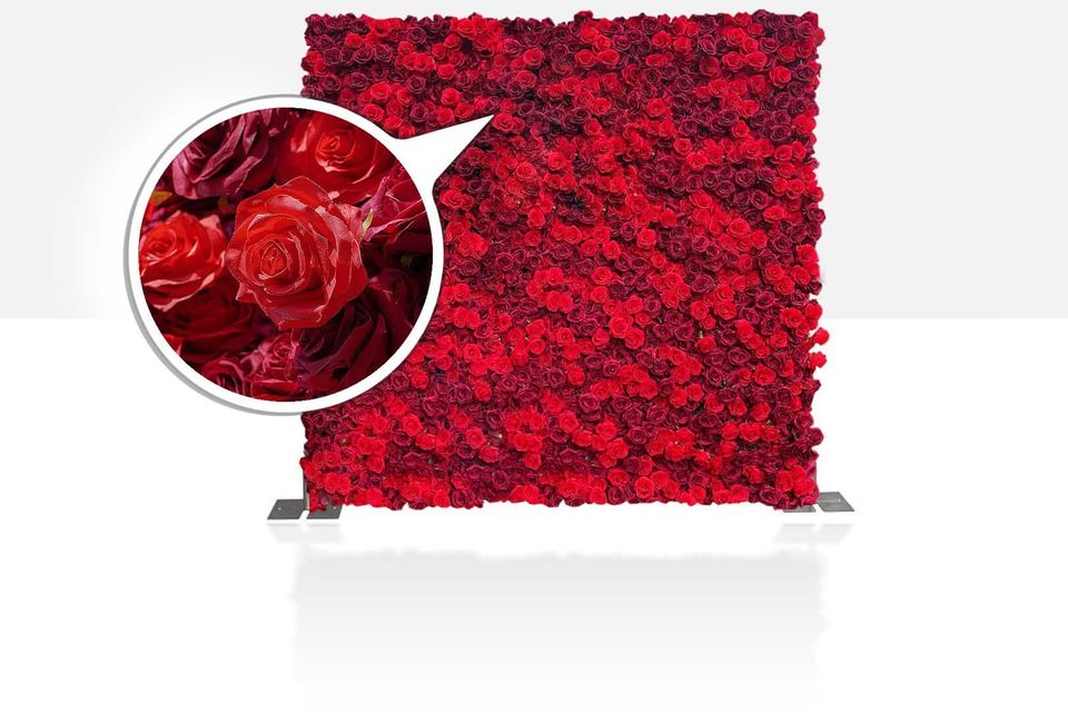 Rose wall 