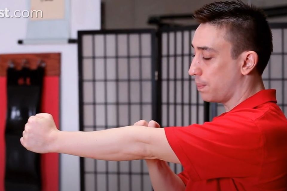 Wingtsun chain punches image