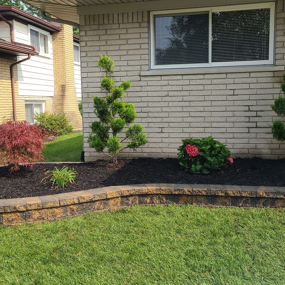 482204784 639324932188151 7136401100718899455 n