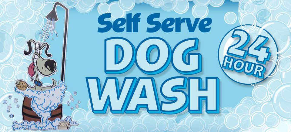Dog wash20140221 414 1eajvqf