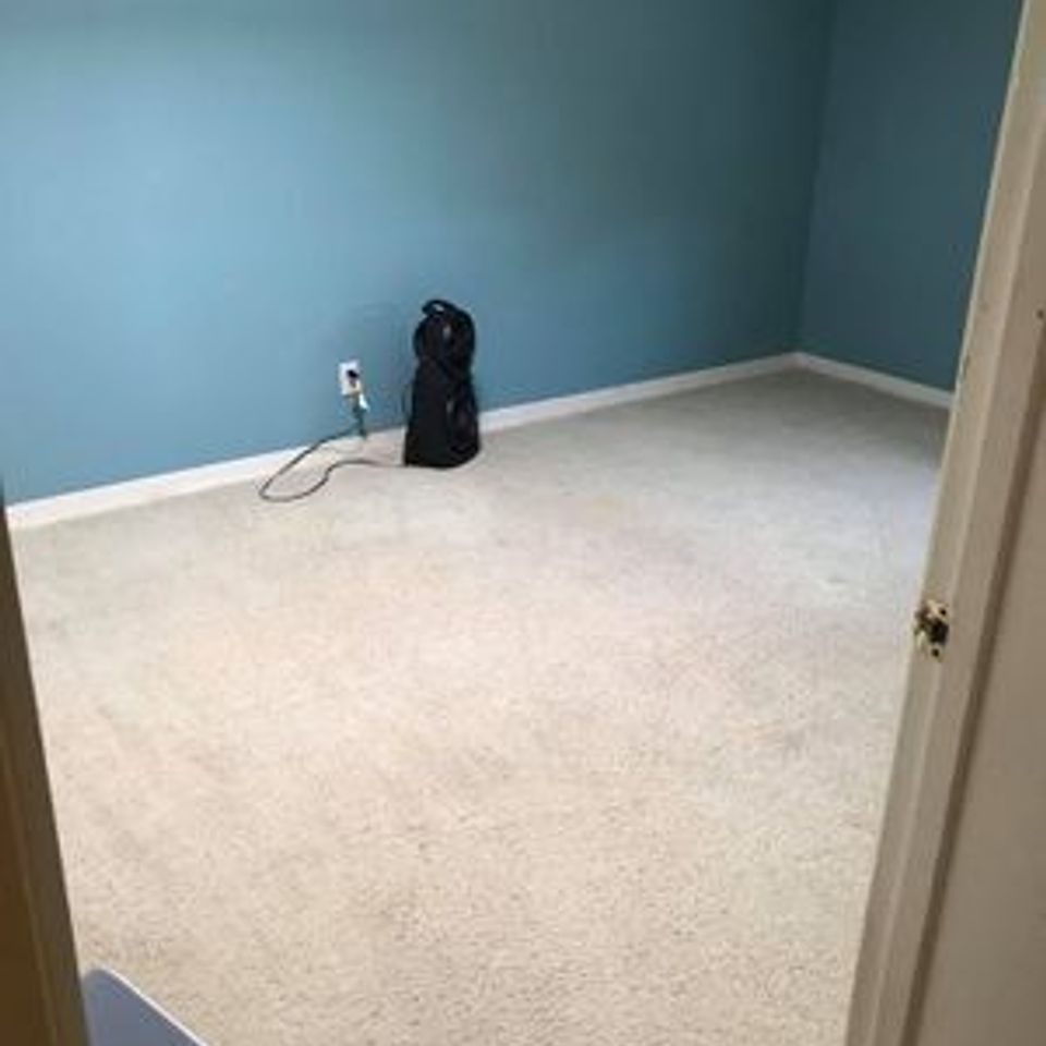 Gallery (8) 298w