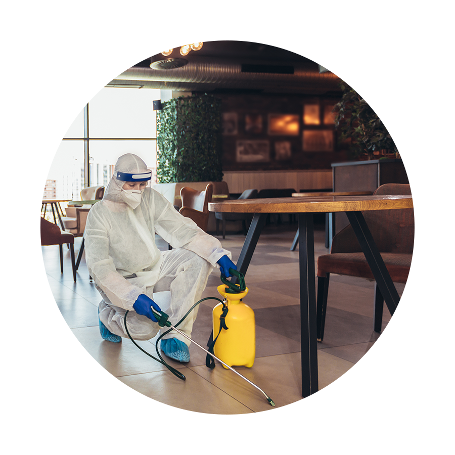 Icons restaurant professional