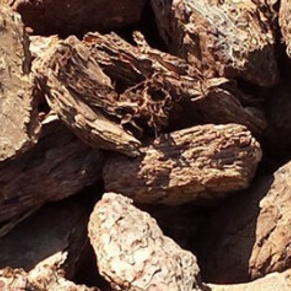 2 large bark (1)