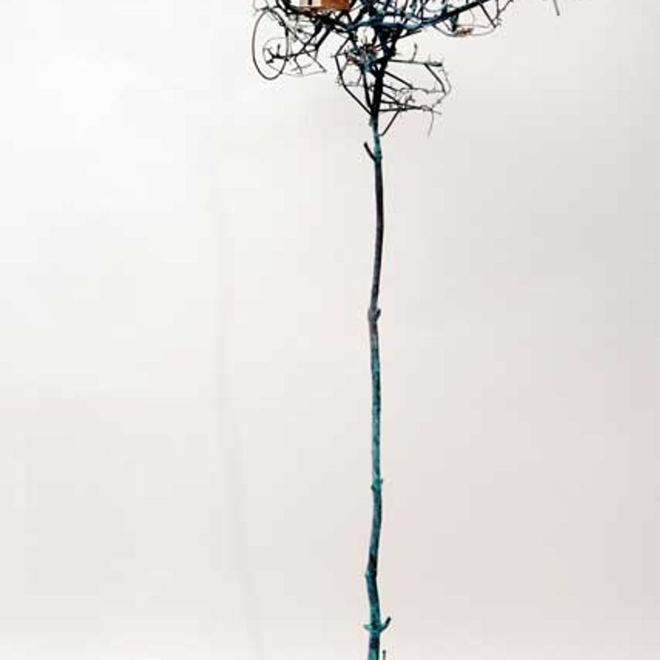 Tree with birds