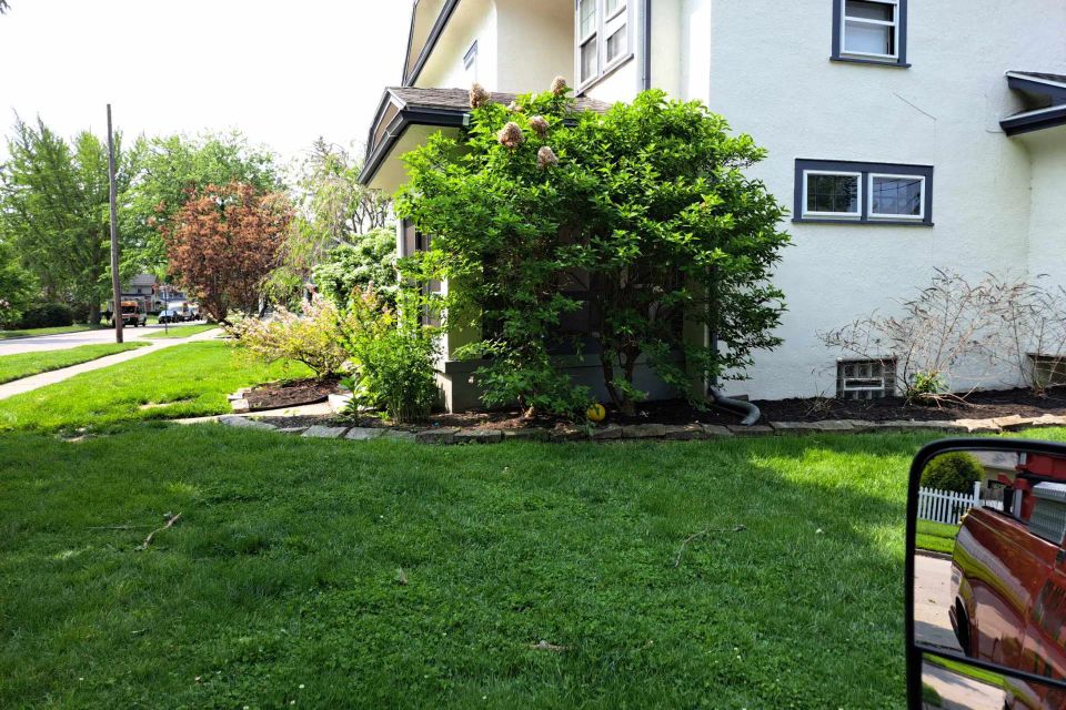 Residential landscape with black mulch, shrubs, trees, and stone-edged planting beds.