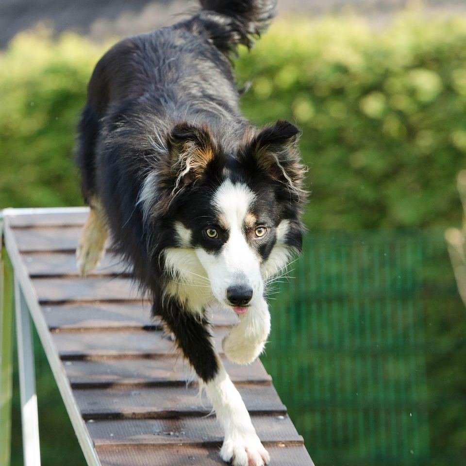 Agility g6b35d8c36 1920