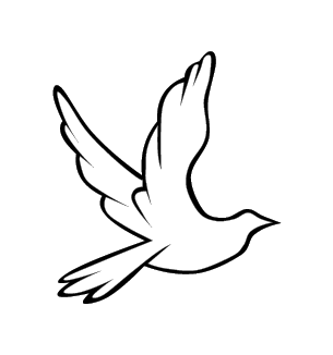 Dove funeral20210107 16465 1h44kdv