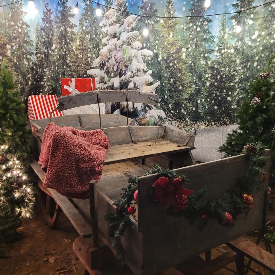 Christmas sleigh