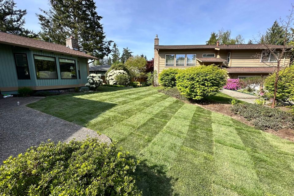 494992662 122222330612209334 4038188779486641356 n original