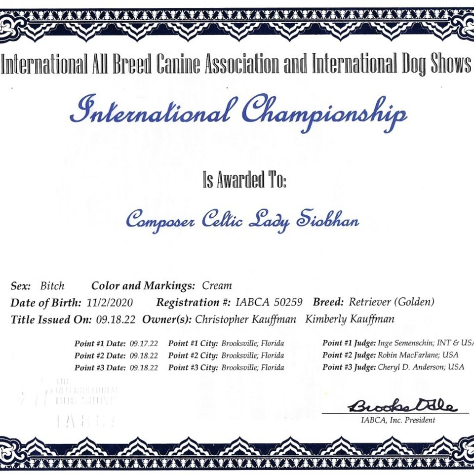 Bel intch certificate