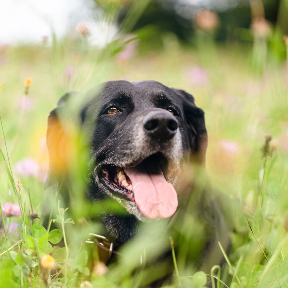 Adobestock 421381540
