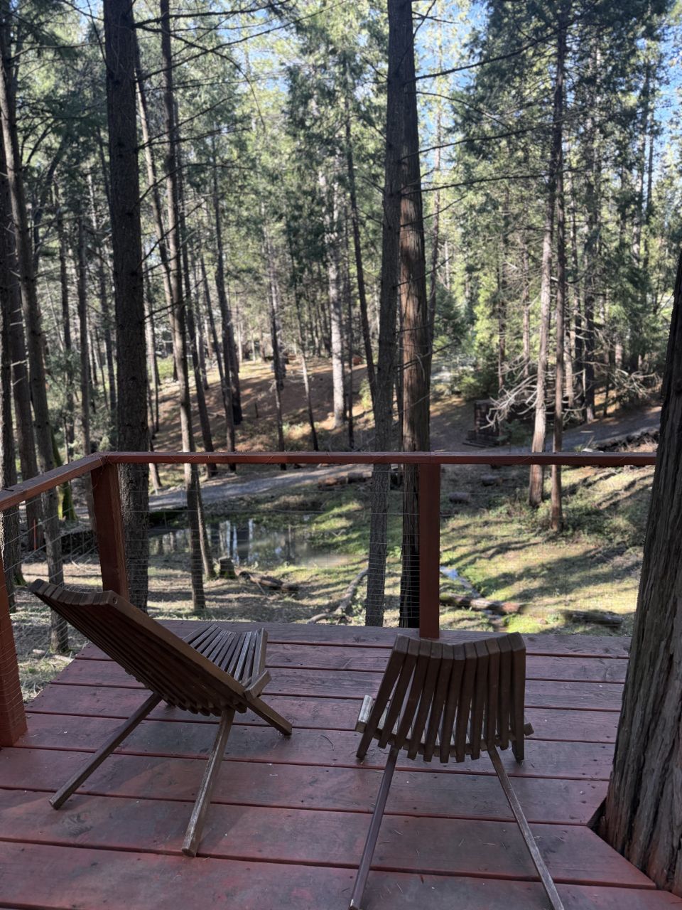 Tree house cabin