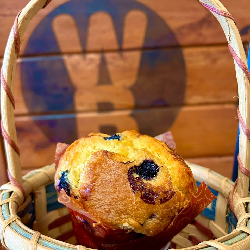 Bagels johnsoncity 23