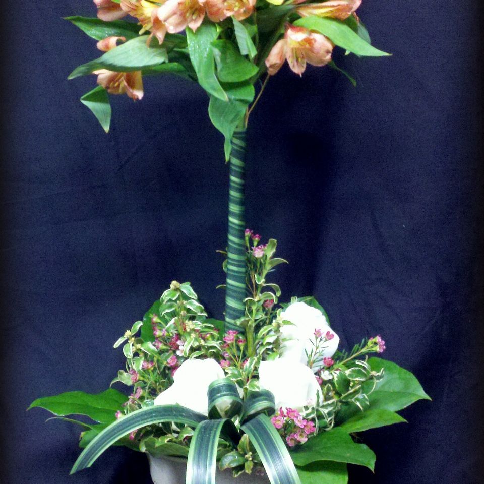 Flowers ed 10120180612 8050 c0vnvq