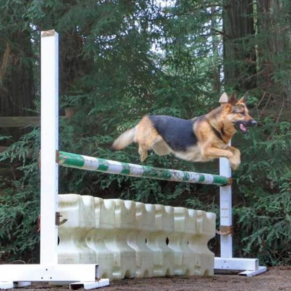 471159261 1018604003654531 3847338809704948325 n