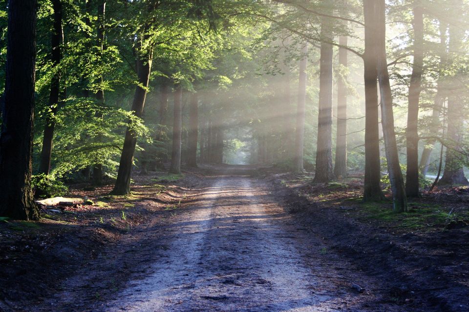 Avenue g05e9c6b88 1920