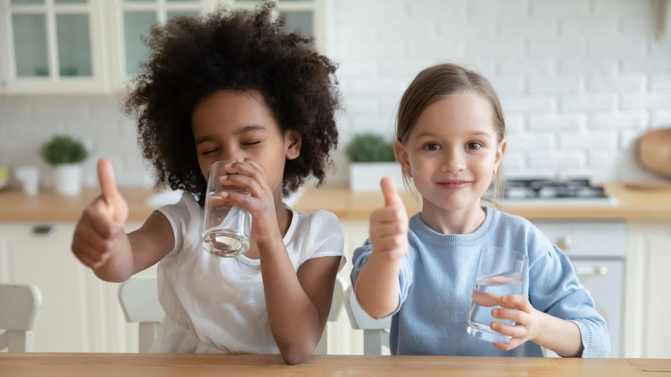 Water Filtration Services
