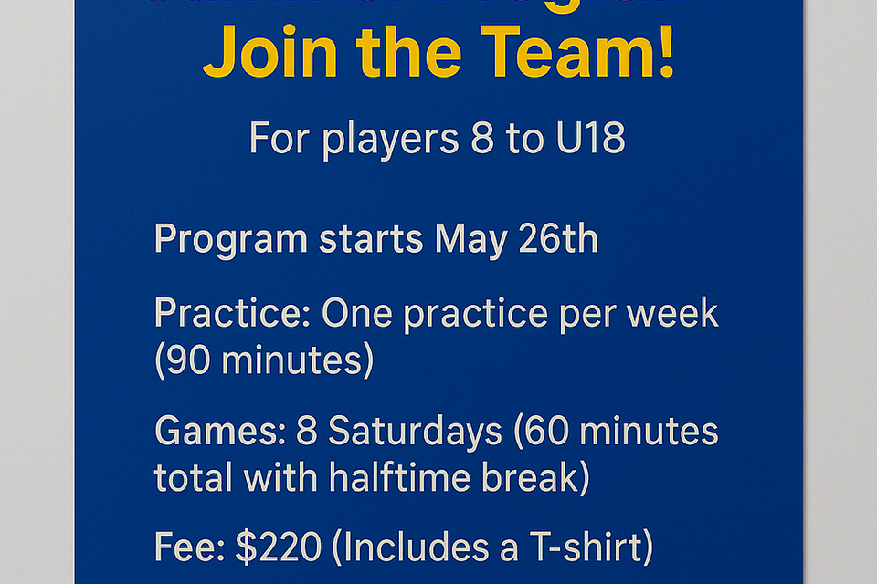 Flyer summer program