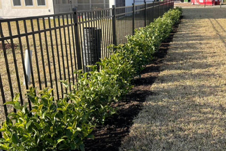 Screenshot 2025 10 20 082005