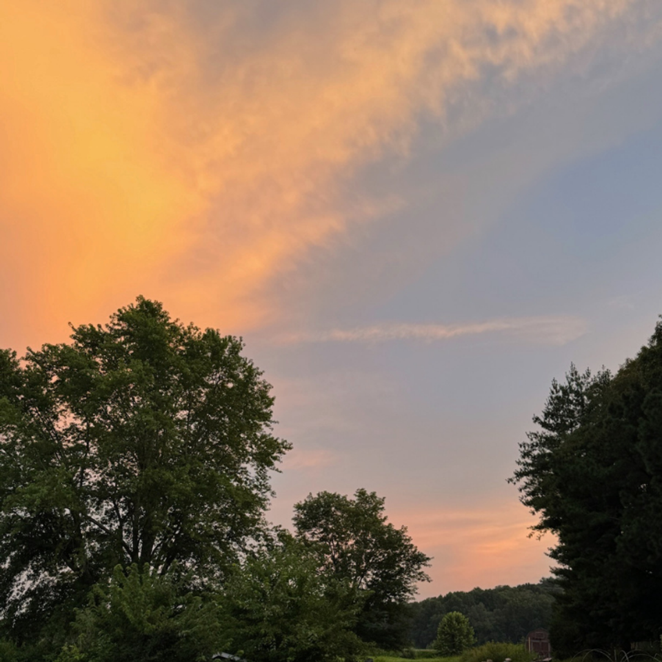 Colorful sky and trees serene view