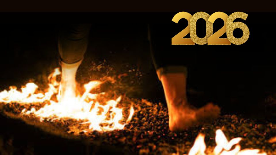 Tiger tamers   website (3)