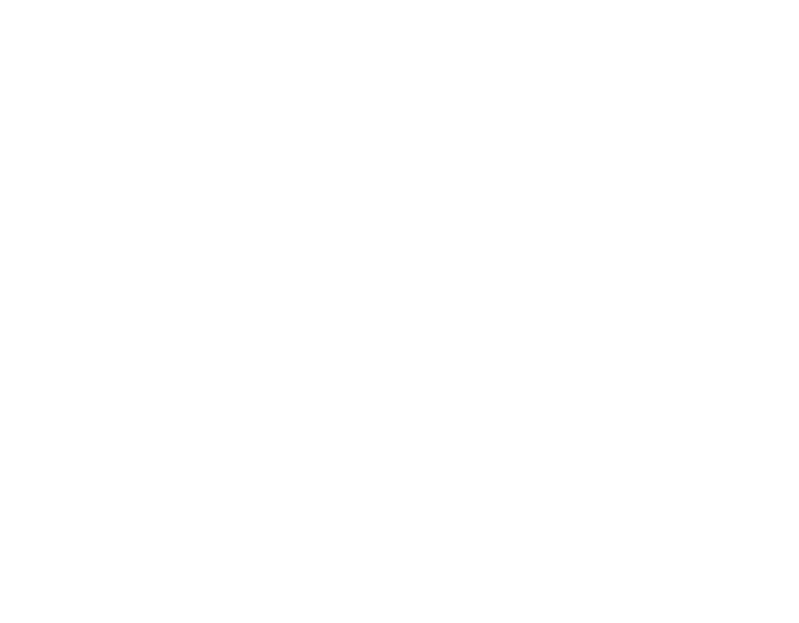C. Ellis Construction LLC