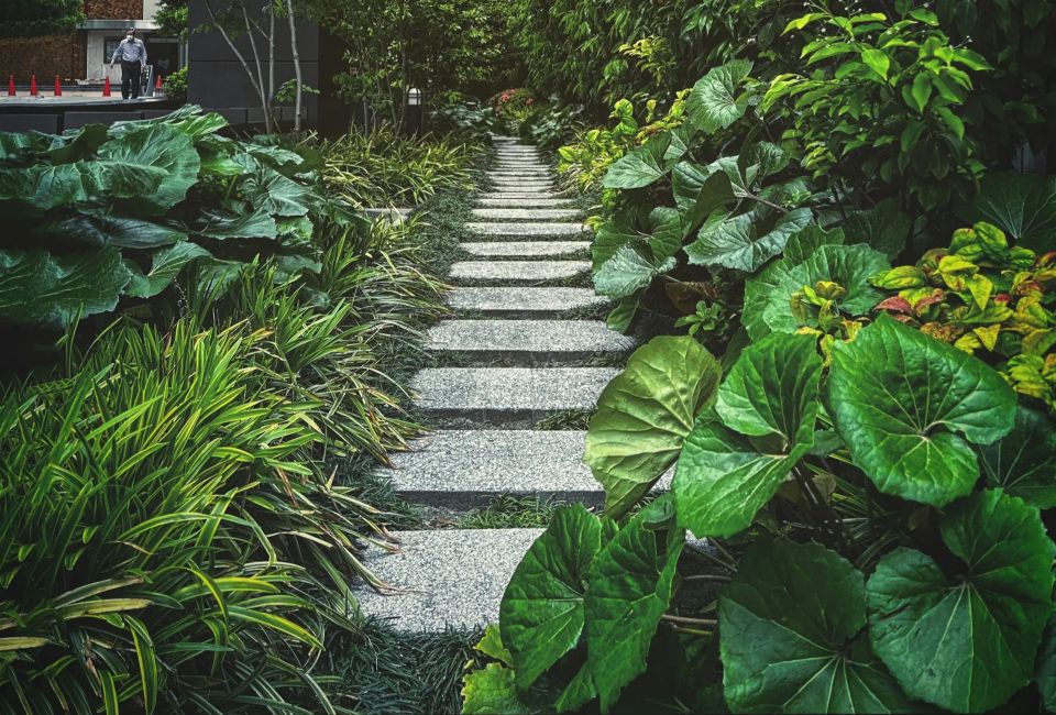 Stepping Stones