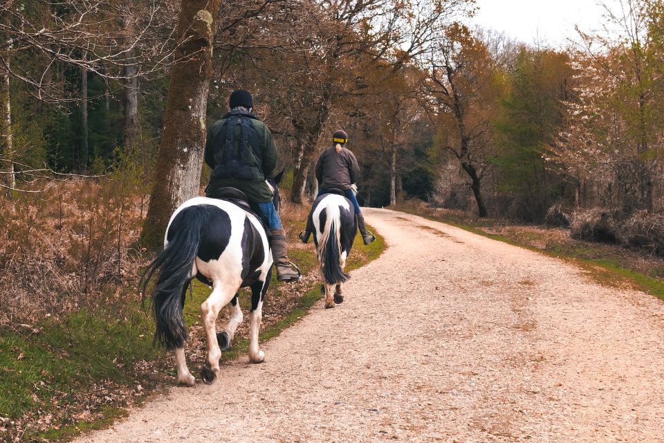 group horse trail riding