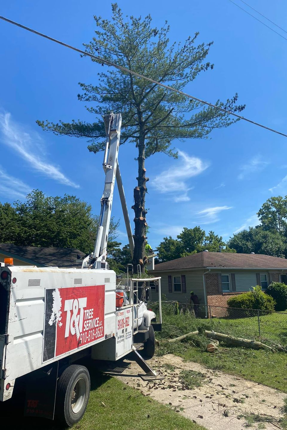 207597045 776547236342089 996221386610718823 n