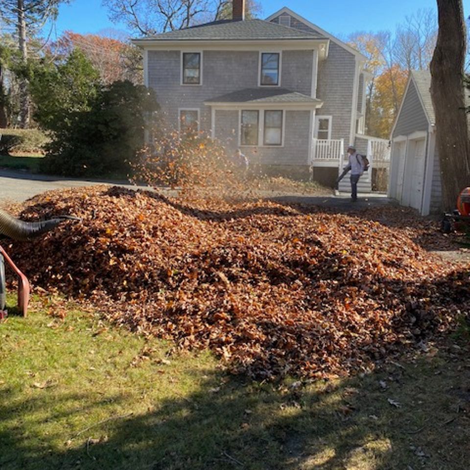 Sullivan cleanup leaves blower