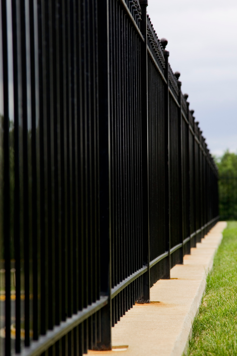 Aluminum fence portrait