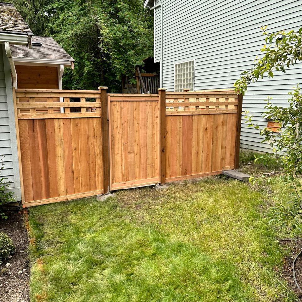 Whatsapp image 2026 01 08 at 2.10.04 am