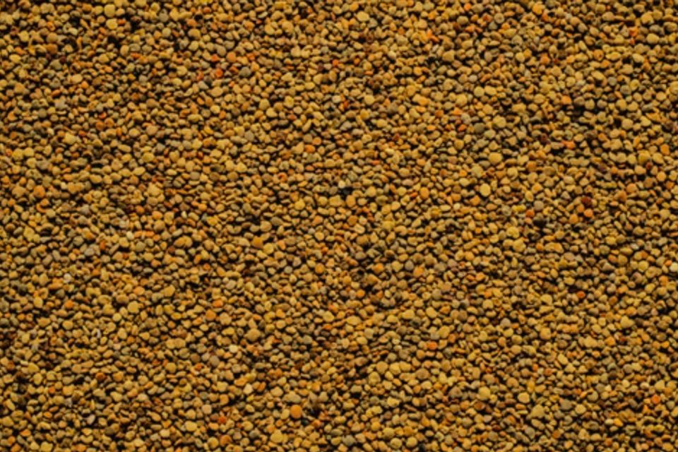 Bee pollen