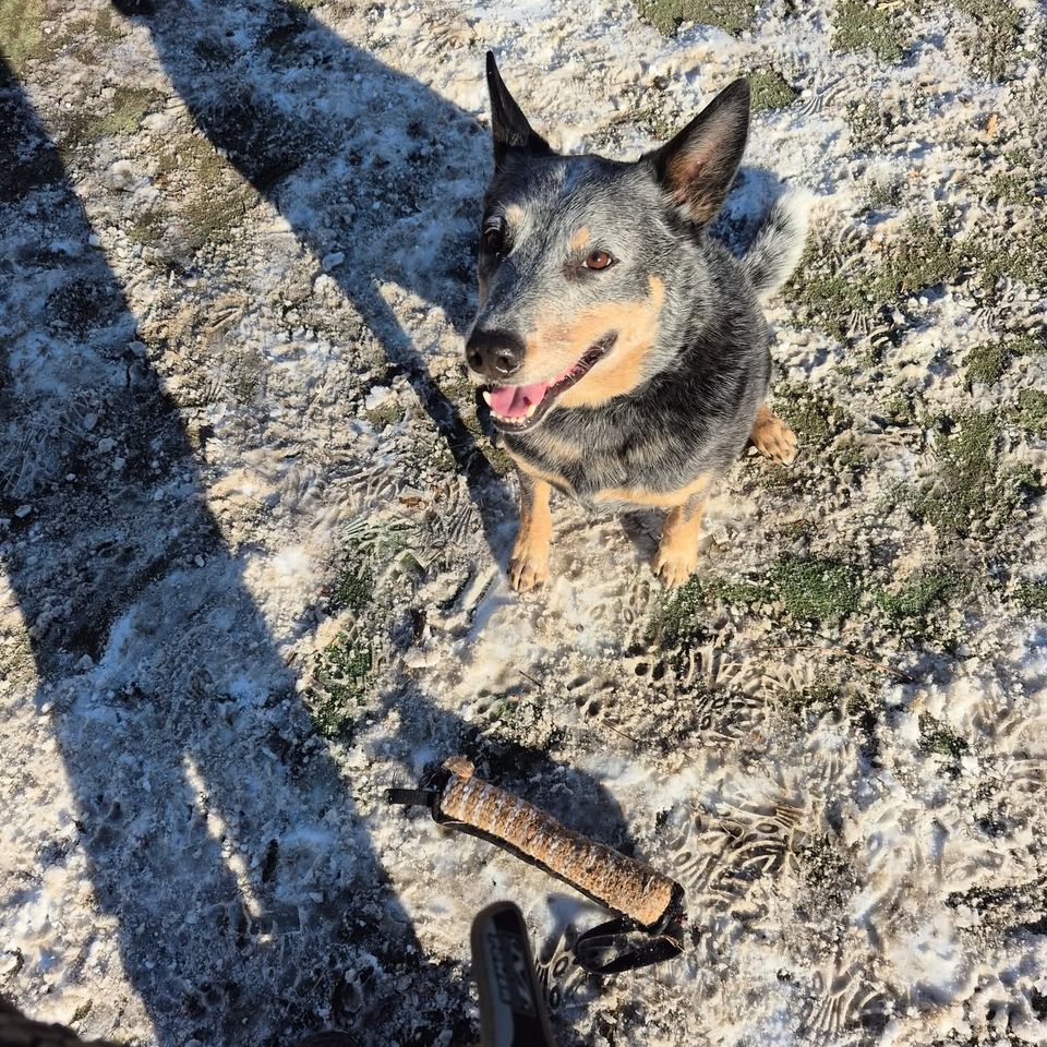 Fb img 1769435497661