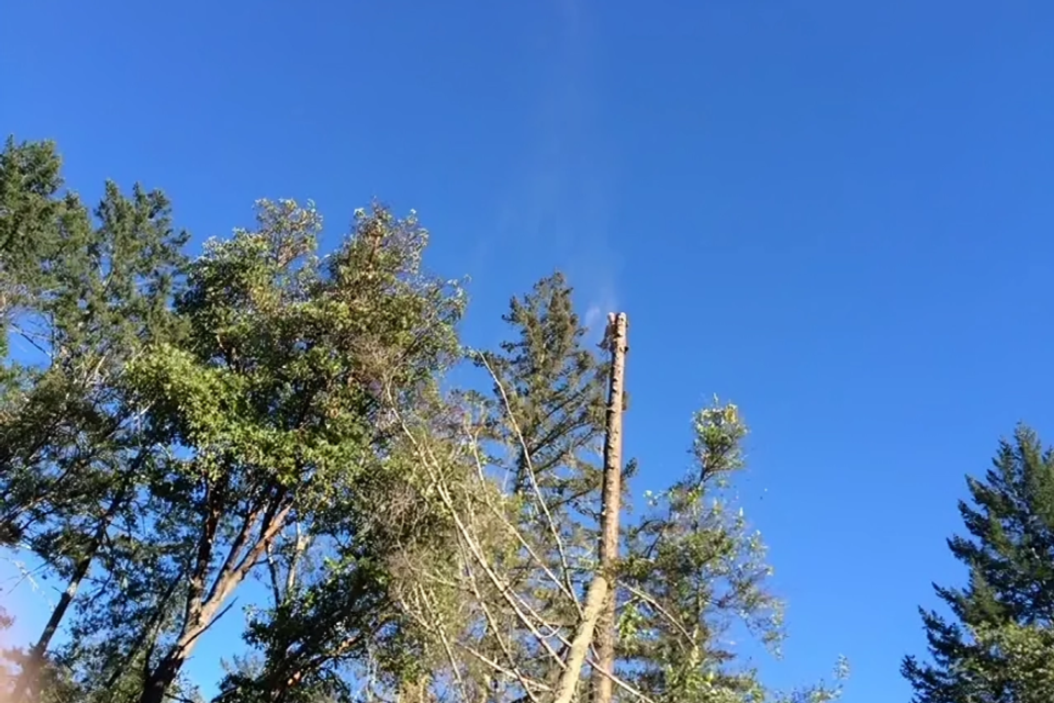 Img 0153 1920w