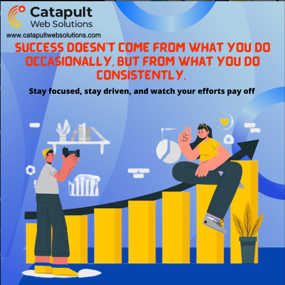 Catapult web solutions approved logo usage example 3