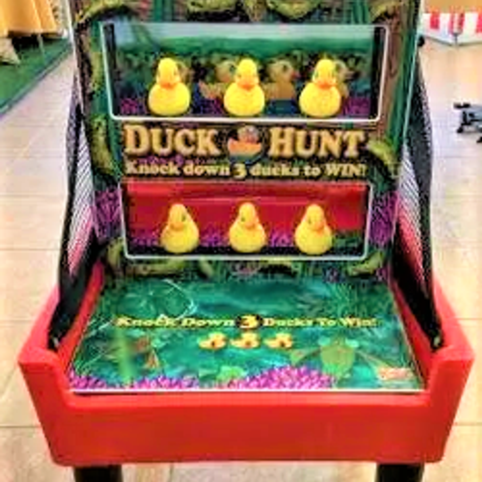 Duck hunt (2)