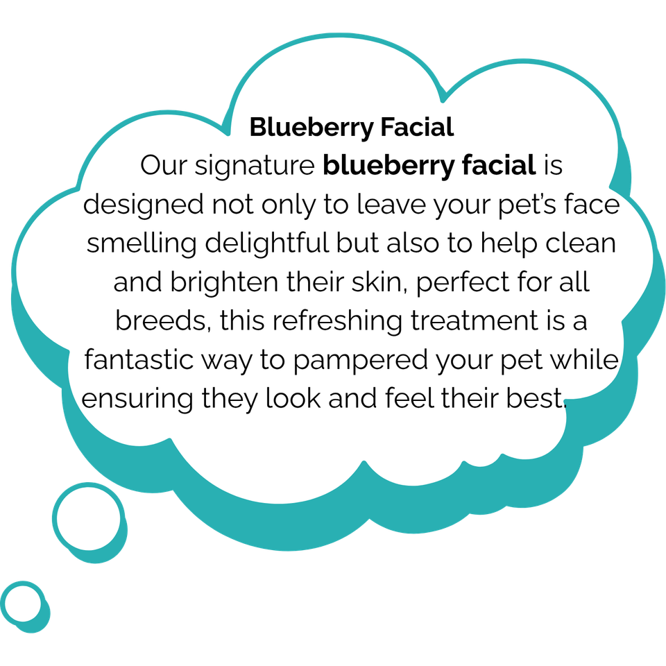 Blueberry facial