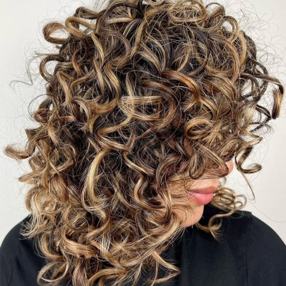 Curly excellence