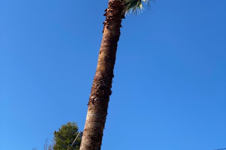 Img 1781