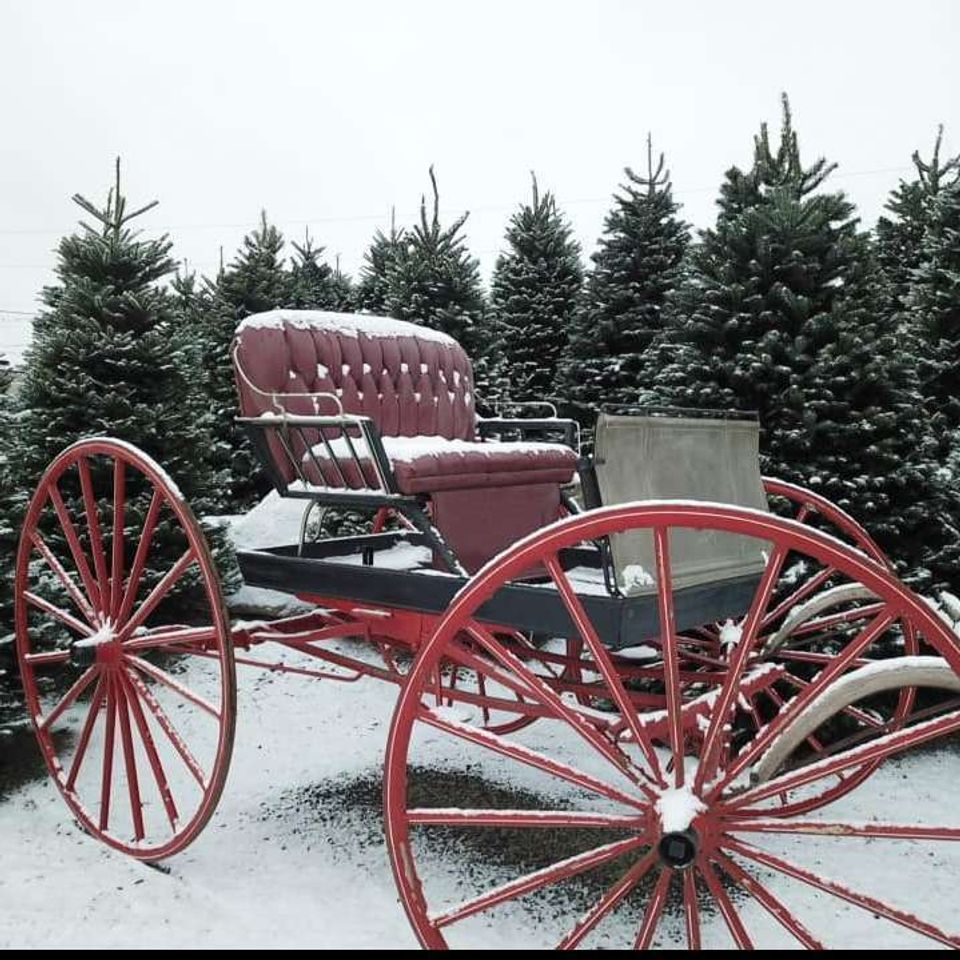 1616453521473 xmas5 1