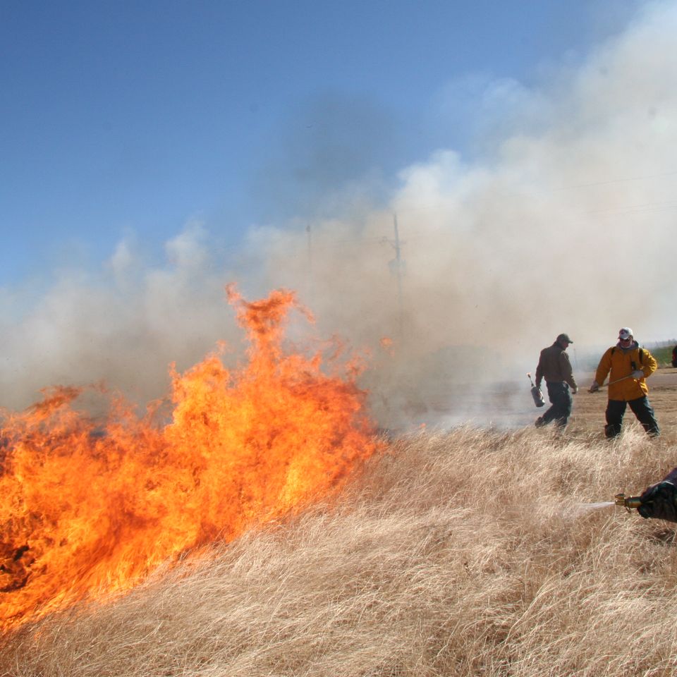 Wildfire 4