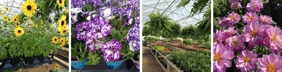 Flowerslider 4column 1