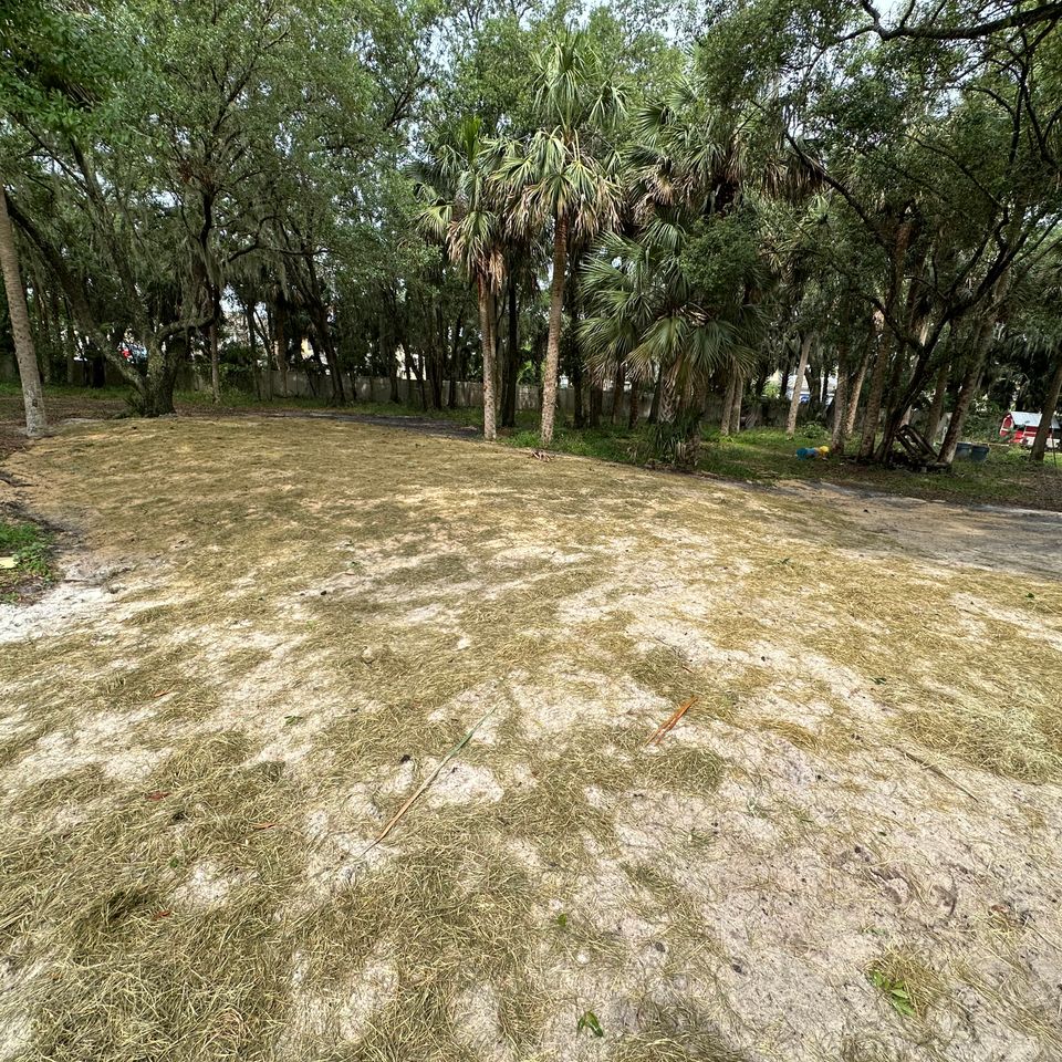 Img 0290