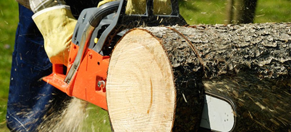 Ss120140806 23359 1ki7jt6