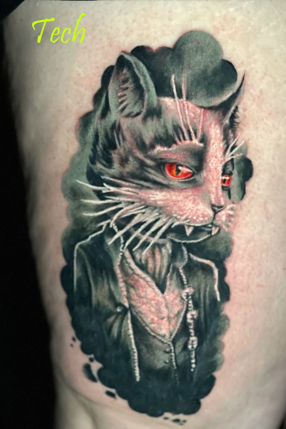 Tech slick city cat
